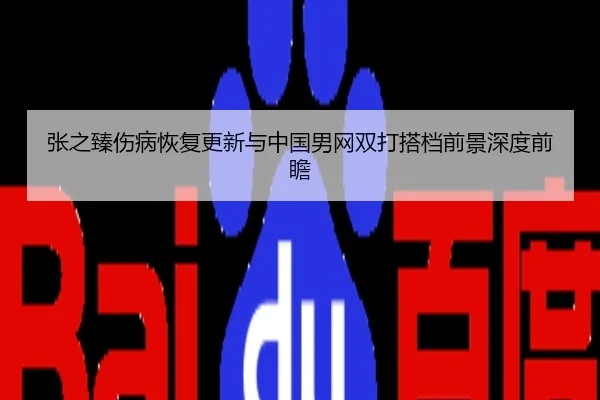张之臻伤病恢复更新与中国男网双打搭档前景深度前瞻