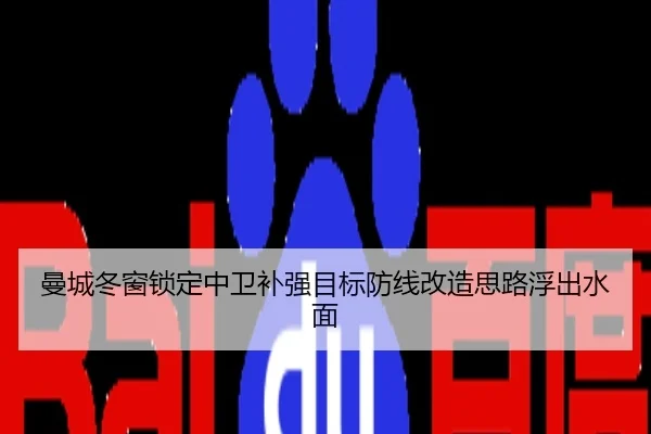 曼城冬窗锁定中卫补强目标防线改造思路浮出水面